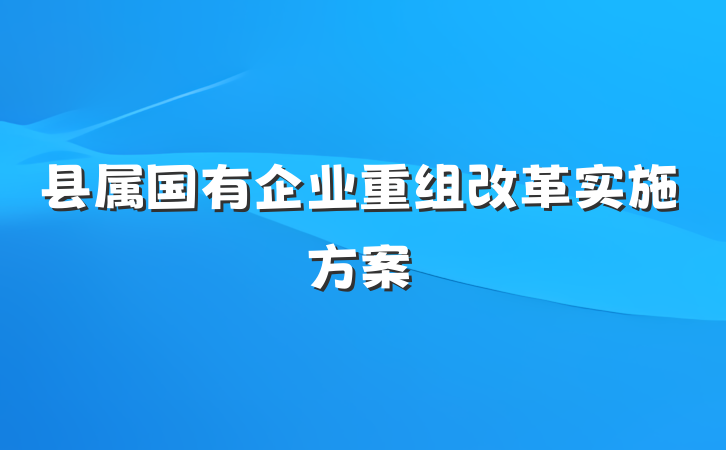 县属国有企业重组改革实施方案