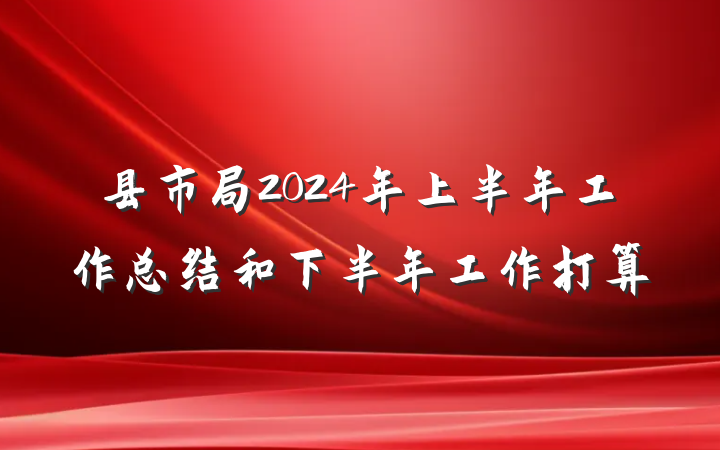 县市局2024年上半年工作总结和下半年工作打算