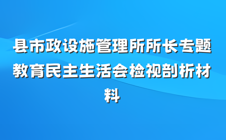 县市政设施管理所所长专题教育民主生活会检视剖析材料