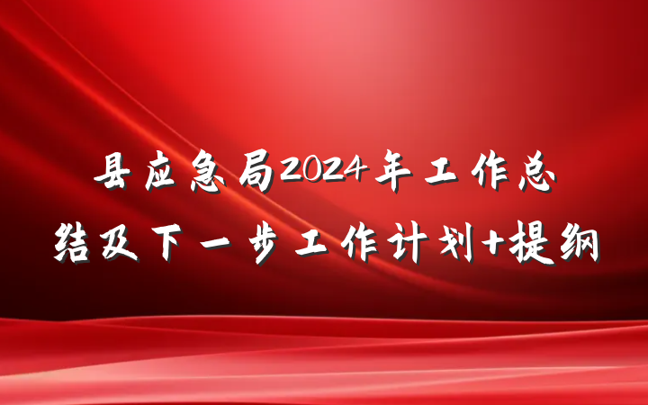 县应急局2024年工作总结及下一步工作计划 提纲
