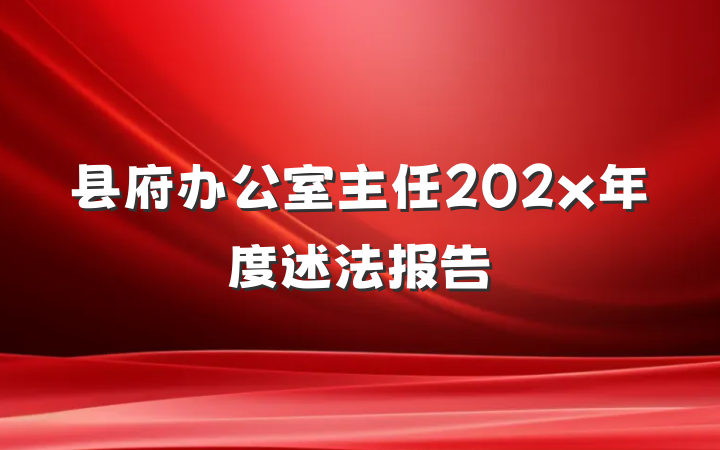 县府办公室主任202x年度述法报告