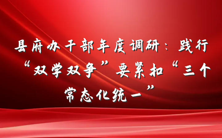 县府办干部年度调研：践行“双学双争”要紧扣“三个常态化统一”