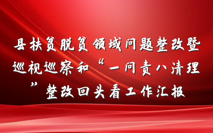 县扶贫脱贫领域问题整改暨巡视巡察和“一问责八清理”整改回头看工作汇报