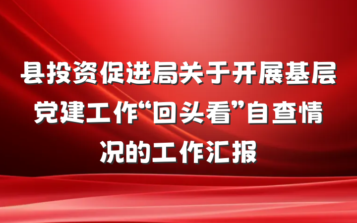 县投资促进局关于开展基层党建工作“回头看”自查情况的工作汇报