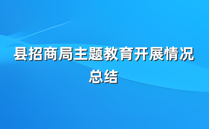 县招商局主题教育开展情况总结