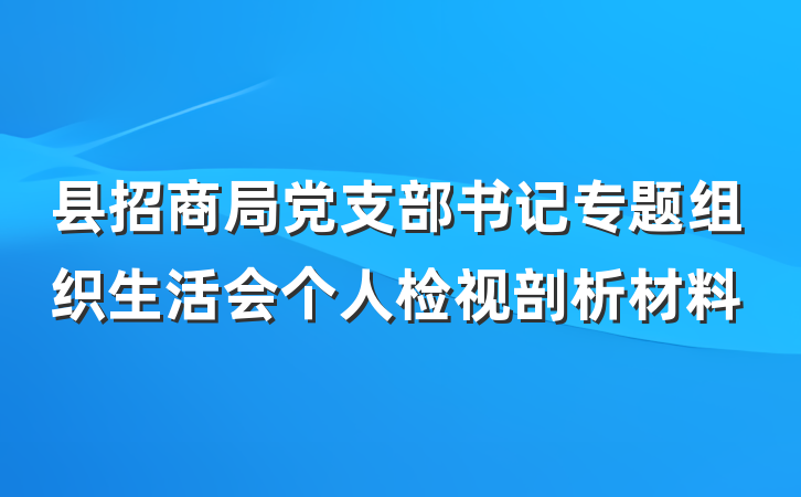 县招商局党支部书记专题组织生活会个人检视剖析材料