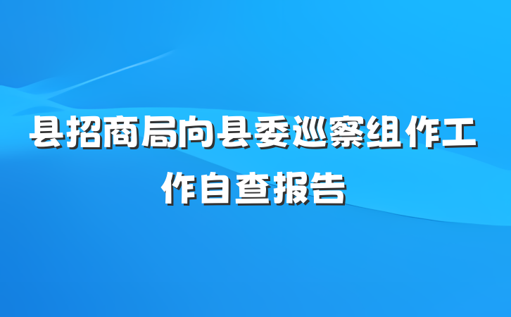县招商局向县委巡察组作工作自查报告