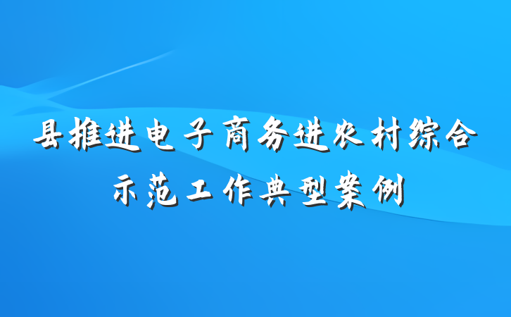 县推进电子商务进农村综合示范工作典型案例