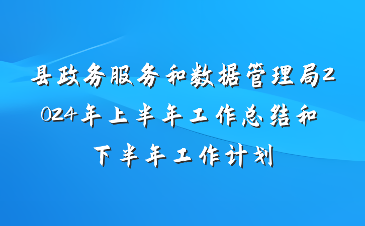 县政务服务和数据管理局2024年上半年工作总结和下半年工作计划