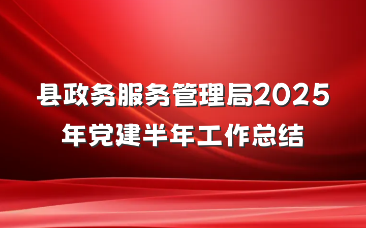县政务服务管理局2025年党建半年工作总结