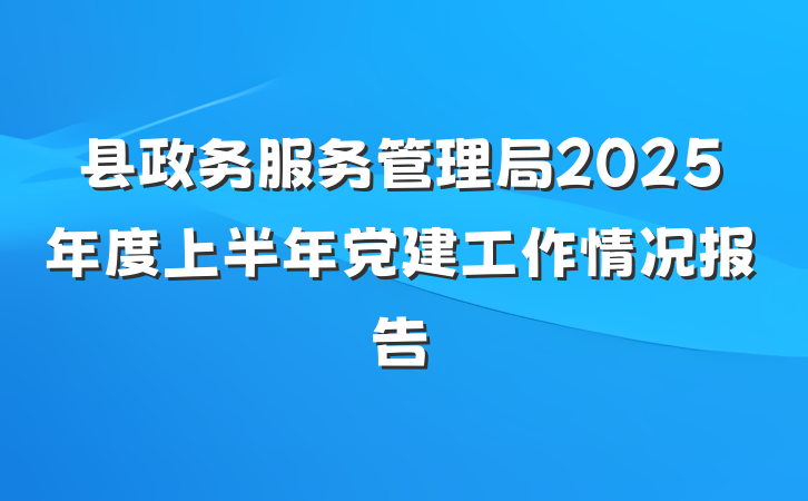 县政务服务管理局2025年度上半年党建工作情况报告