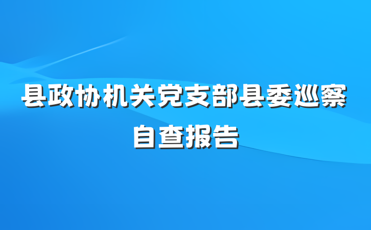 县政协机关党支部县委巡察自查报告