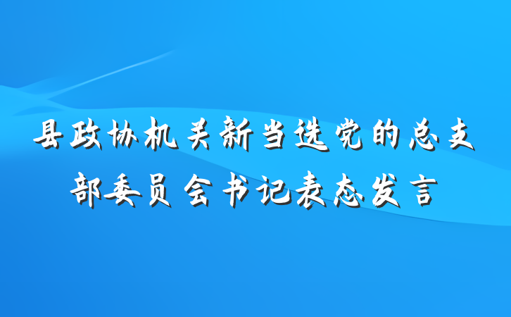 县政协机关新当选党的总支部委员会书记表态发言