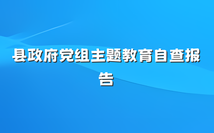 县政府党组主题教育自查报告