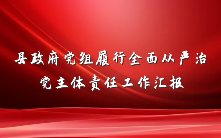 县政府党组履行全面从严治党主体责任工作汇报