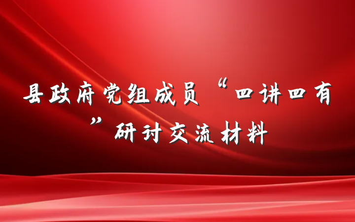 县政府党组成员“四讲四有”研讨交流材料