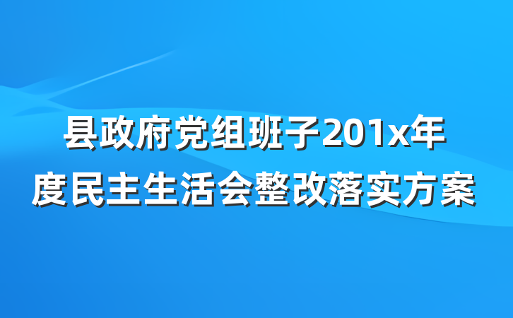 县政府党组班子201x年度民主生活会整改落实方案