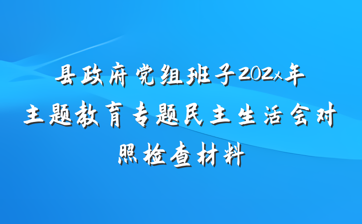 县政府党组班子202x年主题教育专题民主生活会对照检查材料