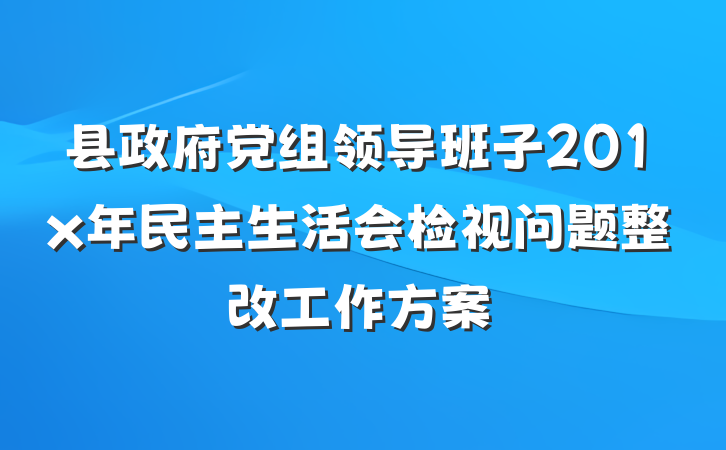 县政府党组领导班子201x年民主生活会检视问题整改工作方案