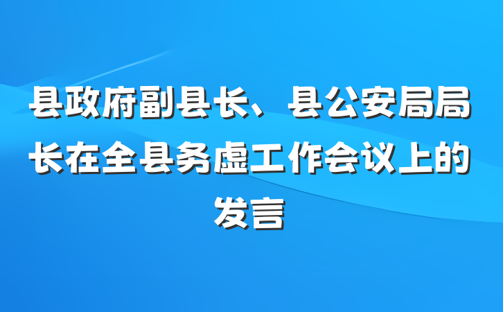 县政府副县长、县公安局局长在全县务虚工作会议上的发言