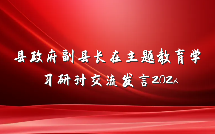 县政府副县长在主题教育学习研讨交流发言202x
