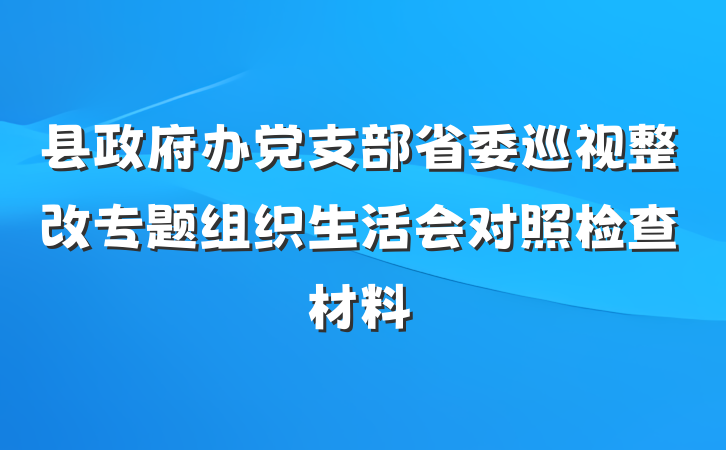 县政府办党支部省委巡视整改专题组织生活会对照检查材料