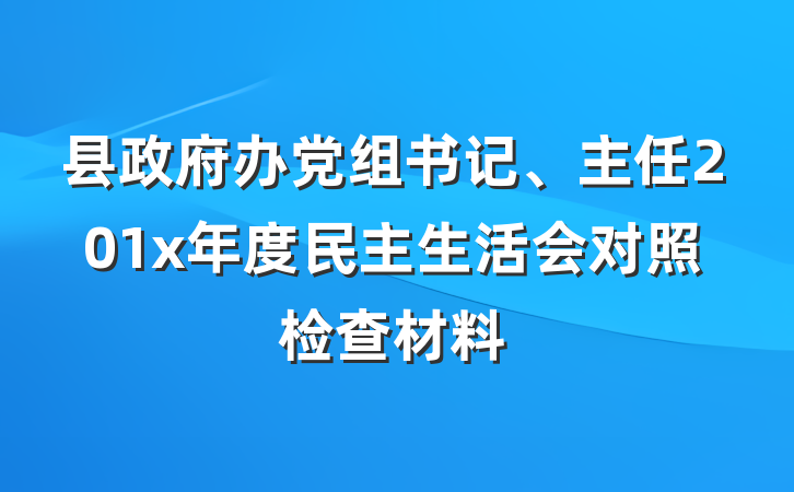 县政府办党组书记、主任201x年度民主生活会对照检查材料