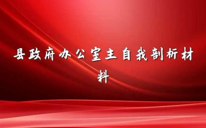 县政府办公室主自我剖析材料