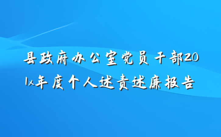 县政府办公室党员干部201x年度个人述责述廉报告