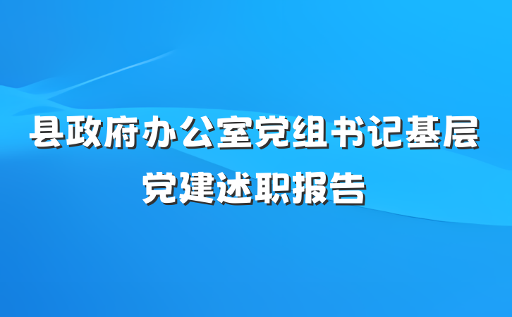 县政府办公室党组书记基层党建述职报告