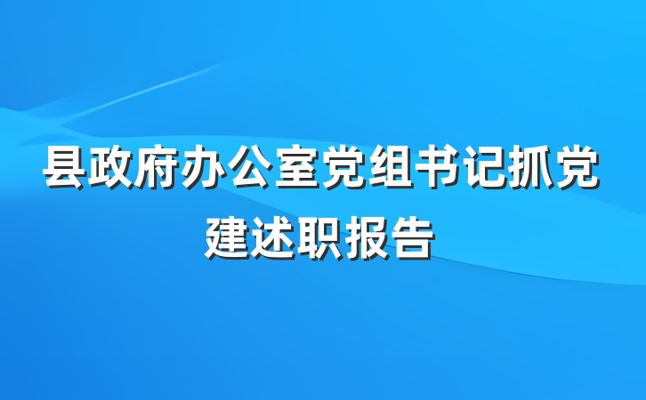县政府办公室党组书记抓党建述职报告