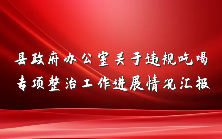 县政府办公室关于违规吃喝专项整治工作进展情况汇报