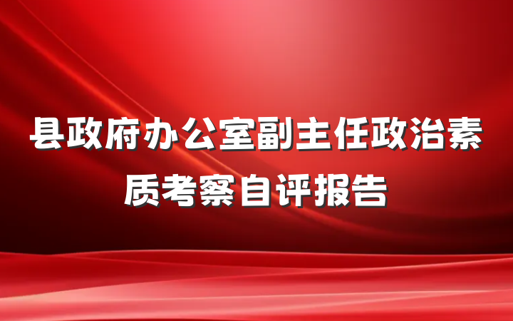 县政府办公室副主任政治素质考察自评报告