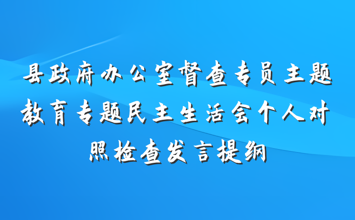 县政府办公室督查专员主题教育专题民主生活会个人对照检查发言提纲