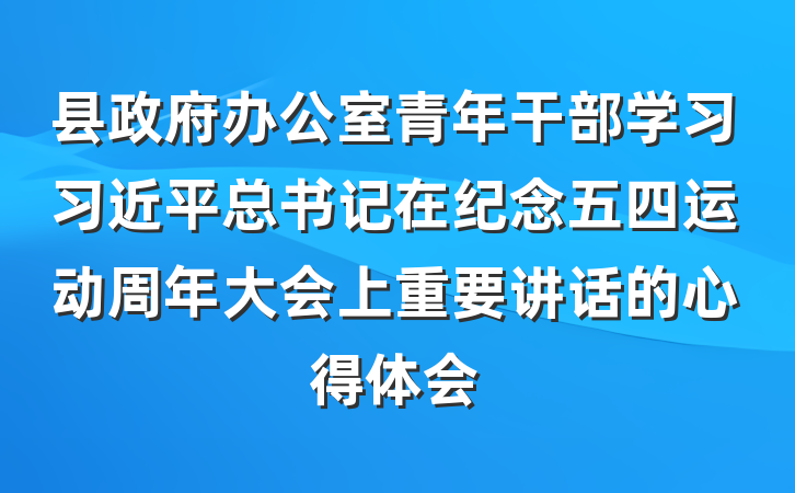 县政府办公室青年干部学习习近平总书记在纪念五四运动周年大会上重要讲话的心得体会