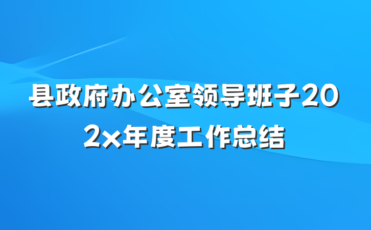 县政府办公室领导班子202x年度工作总结
