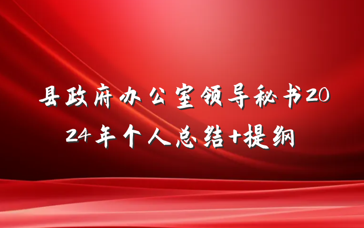 县政府办公室领导秘书2024年个人总结 提纲