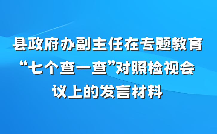 县政府办副主任在专题教育“七个查一查”对照检视会议上的发言材料