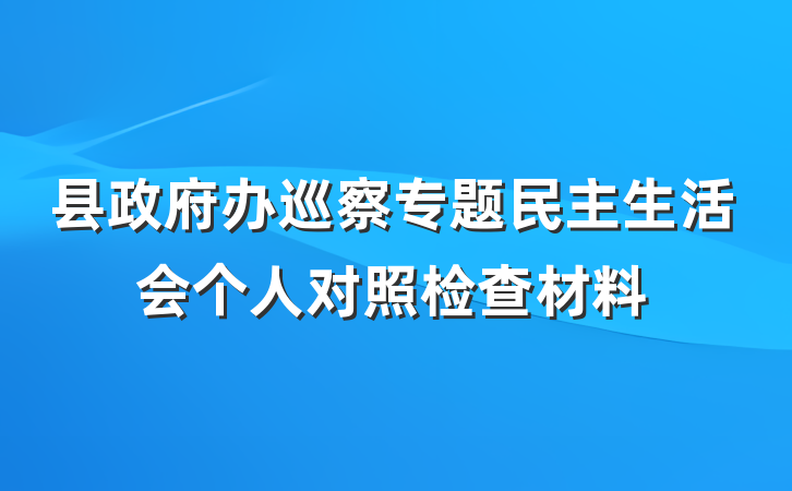 县政府办巡察专题民主生活会个人对照检查材料