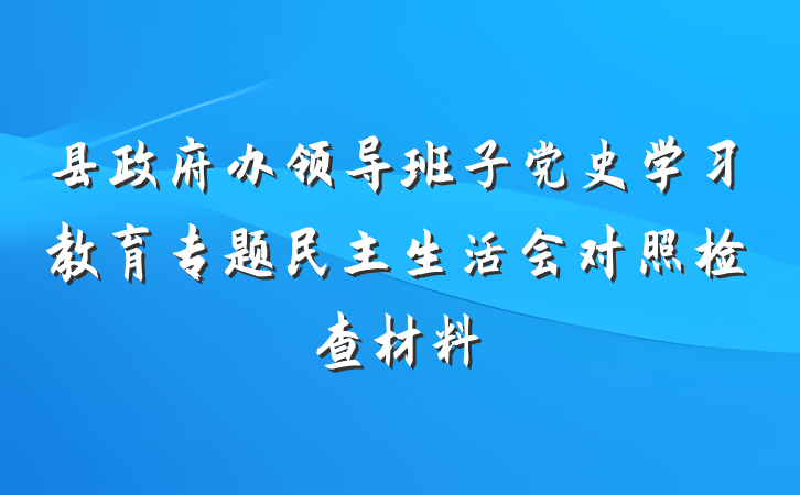 县政府办领导班子党史学习教育专题民主生活会对照检查材料
