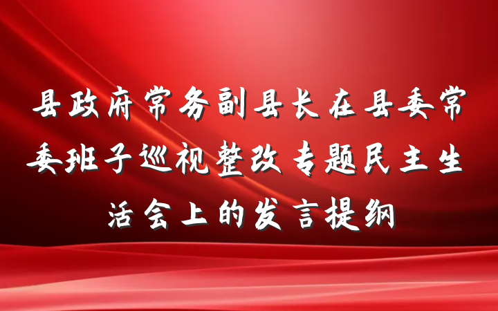县政府常务副县长在县委常委班子巡视整改专题民主生活会上的发言提纲