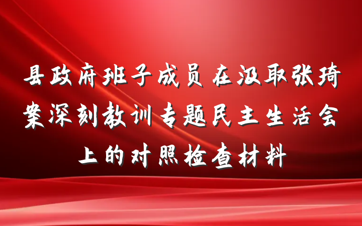 县政府班子成员在汲取张琦案深刻教训专题民主生活会上的对照检查材料