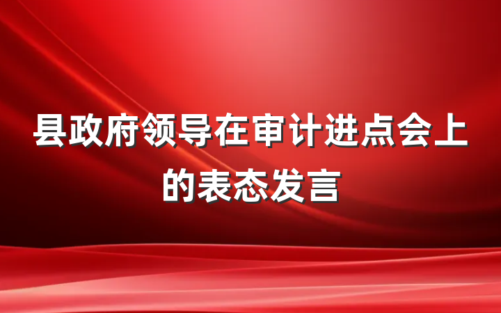 县政府领导在审计进点会上的表态发言