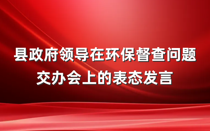 县政府领导在环保督查问题交办会上的表态发言