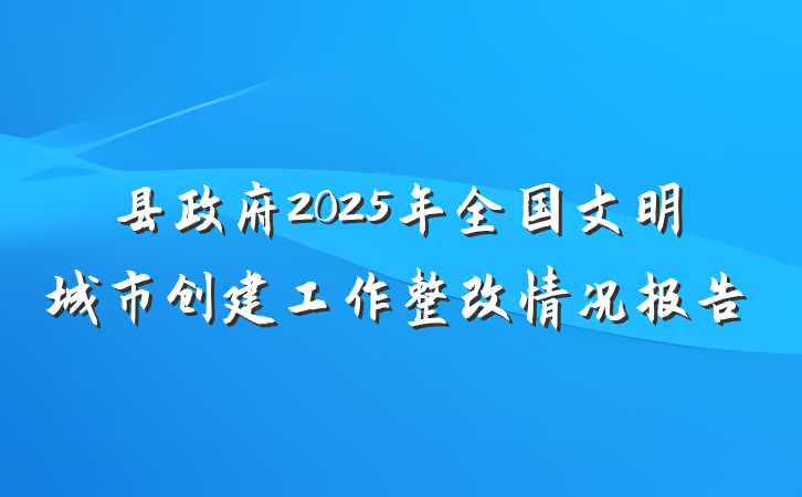 县政府2025年全国文明城市创建工作整改情况报告