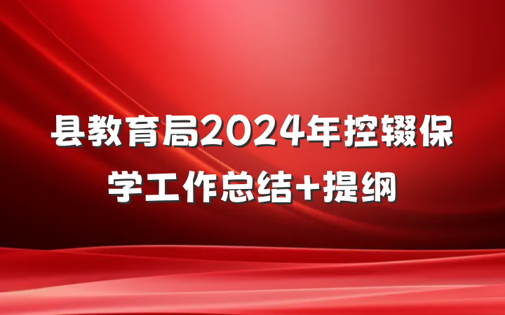 县教育局2024年控辍保学工作总结 提纲