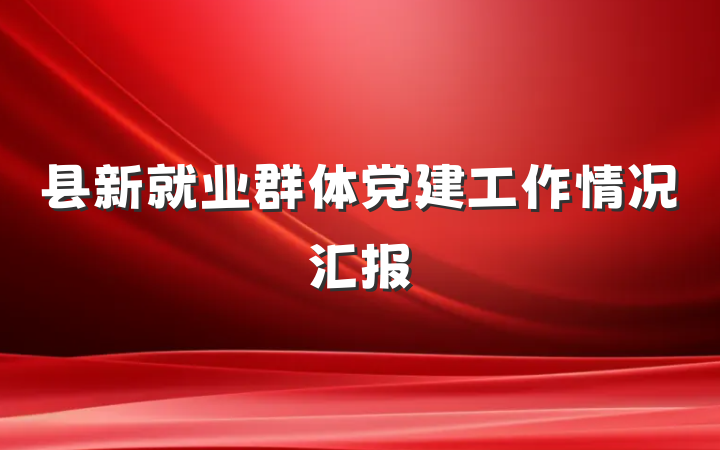 县新就业群体党建工作情况汇报