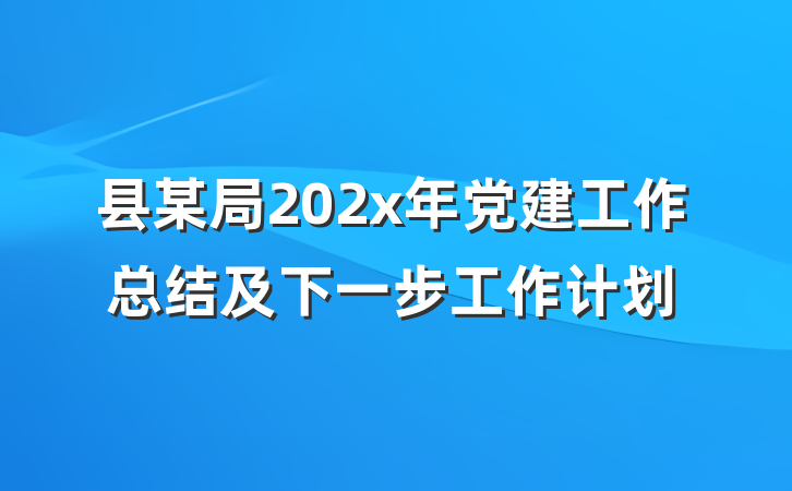 县某局202x年党建工作总结及下一步工作计划
