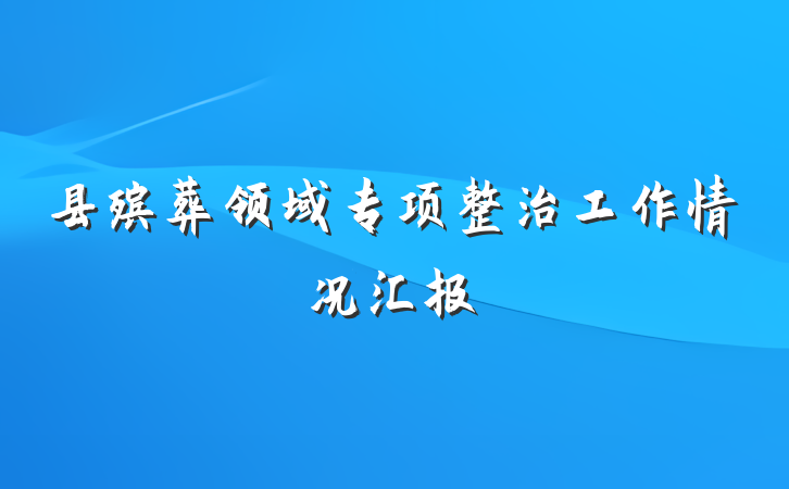 县殡葬领域专项整治工作情况汇报