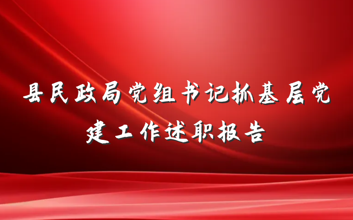 县民政局党组书记抓基层党建工作述职报告